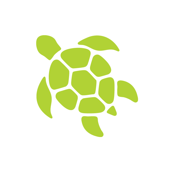 eeasc-icons-lt green-10