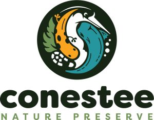 CNP - Logo-FullColor (1) CNP - Logo-FullColor (1)