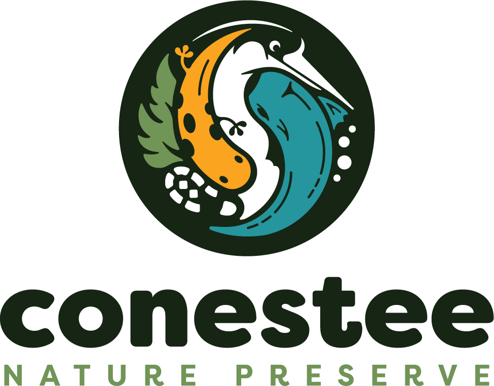 CNP - Logo-FullColor (1)