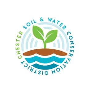 155320663_112200450924026_5055020832555320612_n