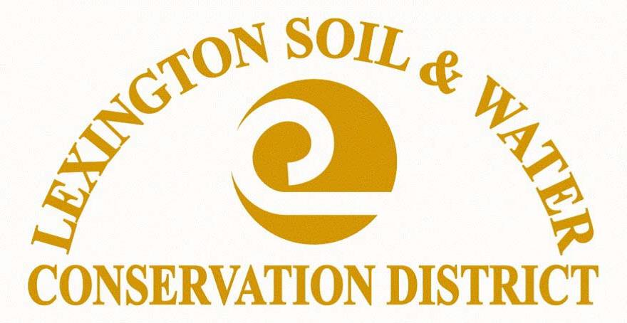 47574441_1972013726167796_6588940364227280896_n