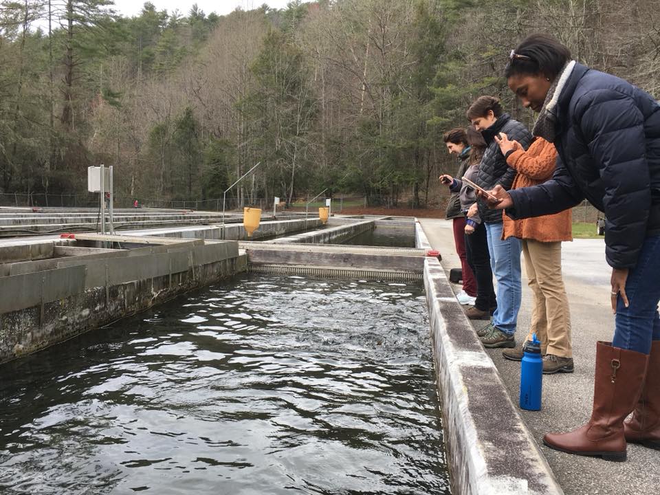 492764166_3573751289594681_1842135751014207478_n